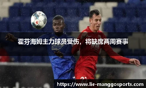 霍芬海姆主力球员受伤，将缺席两周赛事